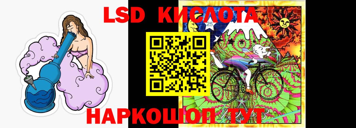 НБОМе Майкоп