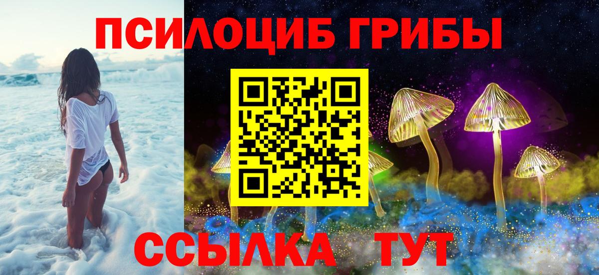 Майкоп  Псилоцибиновые грибы Cubensis  Вход с VPN 